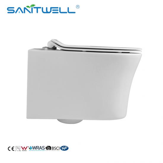 wall mounted toilet