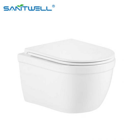 wall hung toilet