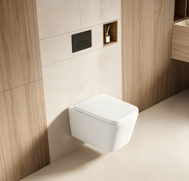 Wall hung toilet